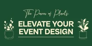 Content-FDS-EventPlantRentals_BlogHeader
